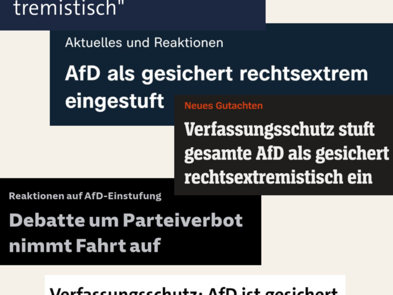 AfD gesichert rechtsxtrem: „Leider keine Überraschung.“