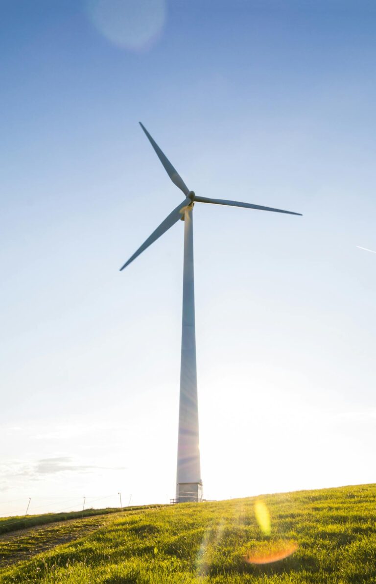 Aus dem Stadtrat: Mit voller Energie Zittau gestalten!